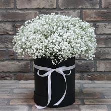 Цветочная композиция из Гипсофила в шляпной коробке в Ис