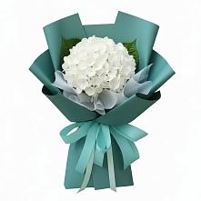 Букет цветов из:  Гортензия в Ис